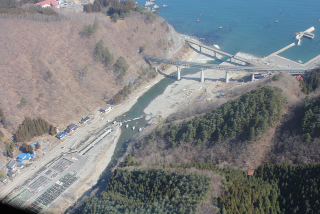 Aerial photography / Aerial photograph / Hamakaze of Hamamatsu / fire / bureau
