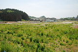 Iwate Ofunato Recovery / Akasaki