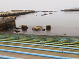 Iwate Noda Harbor / Rubble in the fishing port