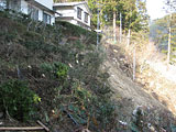 Iwate Tanohata Damage / Shimanokoshi