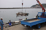 Miyagi Shichigahama Harbor / Rubble / Clearance working
