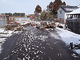 Miyagi Sendai Wakabayashi / Municipal road / Damage