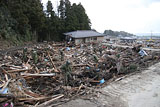 Fukushima Shinchi Damage / Ogawa / Japan Self-Defense Forces Search