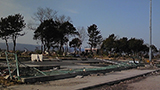 Fukushima Soma Harbor / Government office