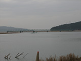 Miyagi Ishinomaki Kamaya / Damage / River / Bridge