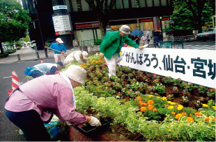 写真：定禅寺通の花壇で作業する「仙台花と緑の会」の皆さん