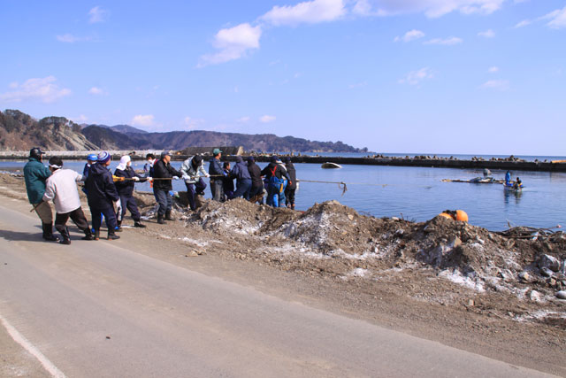 復旧 漁協組合員 島越漁港 清掃