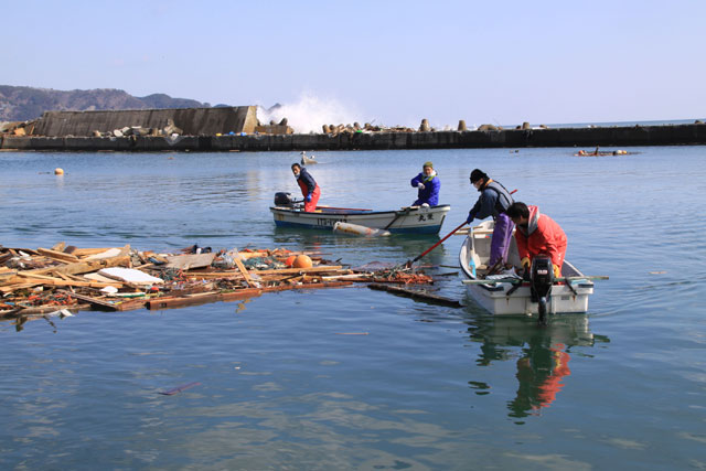 Recovery / A member of JF / Shimanokosi port / Cleaning