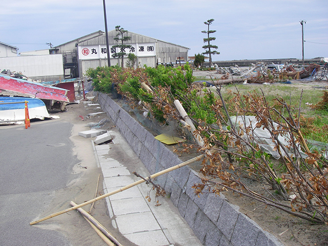 Damage / Yotsukura port