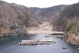 Iwate Tanohata Damage / Tsukuehama / Tsukue fishing port