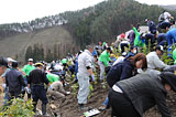 Iwate Otsuchi Volunteer / Tree-planting