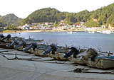 Iwate Tanohata Hiraiga fishing port