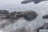 Miyagi Shiogama Seaside Aerial photography / Aerial photograph / Urato island / Hojima