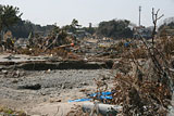 Fukushima Shinchi Damaged state / Tsurushihama area