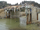 Miyagi Kesennuma Bridge / Nijyuichihamabashi / Material of Tohoku Regional Development Bureau of MLIT