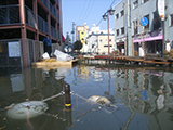 宮城県 石巻市 被災 石巻市街地浸水